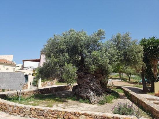 Villa Margarita'S Farm, Private Pool Malathiros Exterior photo